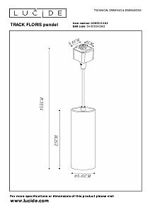 Трековый светильник Lucide Track Floris Pendel 09955/01/02