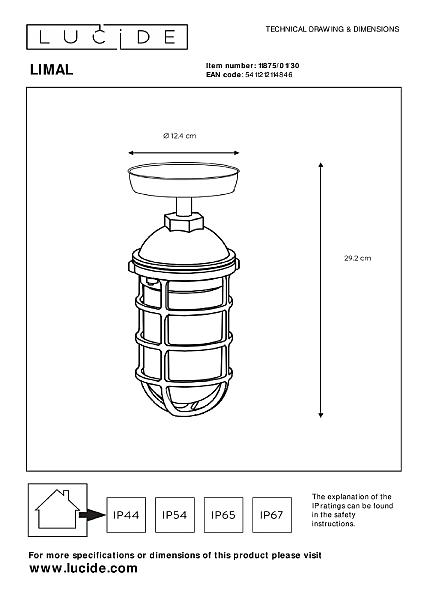 Уличный потолочный светильник Lucide Limal 11875/01/30