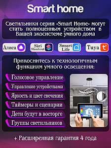 Потолочная люстра Natali Kovaltseva East LED SMART 84001