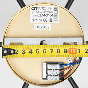 Потолочная люстра Citilux Бертон CL140161