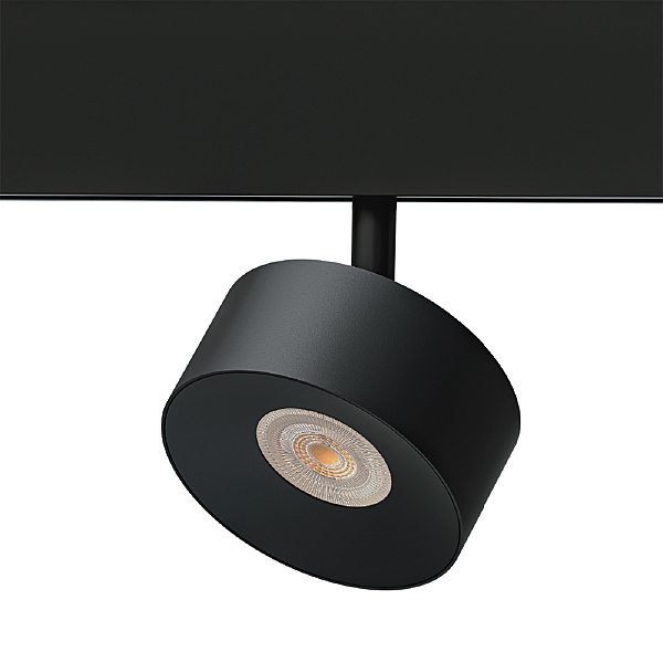 Трековый светильник Arte Lamp Linea A4771PL-1BK