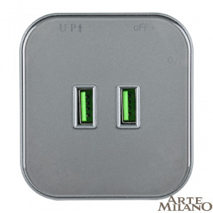 Трековая розетка Arte Milano Am-track-sockets 380022TS/USBx2 Grey