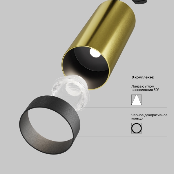 Светильник спот Maytoni FOCUS LED C055CL-L12W4K-W-BS