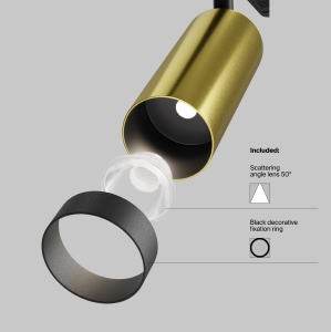 Светильник спот Maytoni FOCUS LED C055CL-L12W4K-W-BS