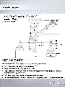 Потолочная люстра Wedo Light Alana WD3616/3C-WT-FGD-WT