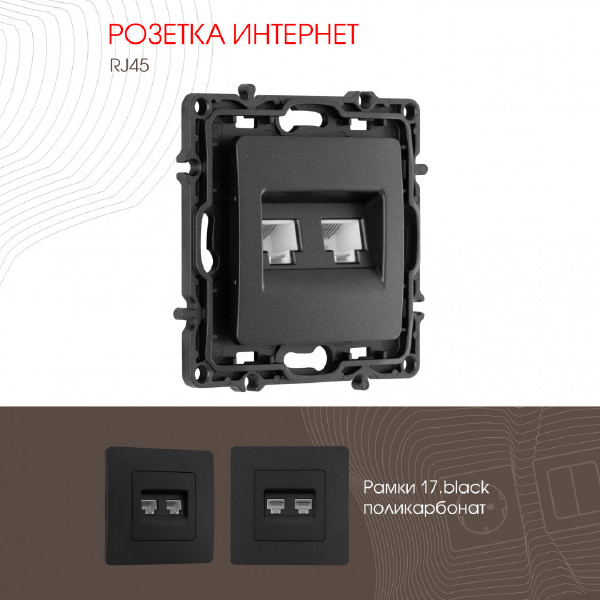 Розетка Arte Milano Am-217 217.45-2.black