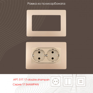 Розетка Arte Milano Am-217 217.40-2.shampan