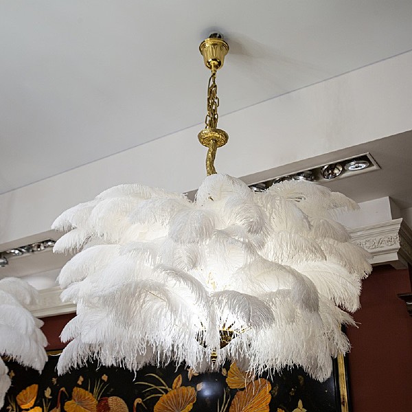 Подвесная люстра L'Arte Luce Luxury Feather Lamp L03406