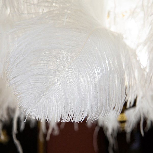 Подвесная люстра L'Arte Luce Luxury Feather Lamp L03406