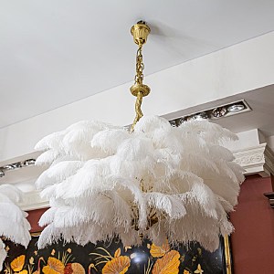 Подвесная люстра L'Arte Luce Luxury Feather Lamp L03406