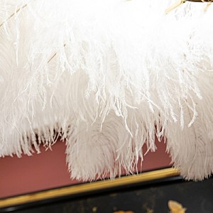 Подвесная люстра L'Arte Luce Luxury Feather Lamp L03406