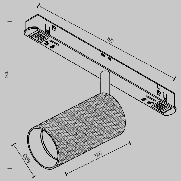 Трековый светильник Maytoni Artisan Exility TR097-2-12W4K-M-BW