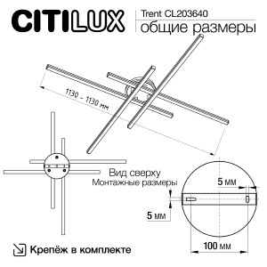 Потолочная люстра Citilux Trent CL203640