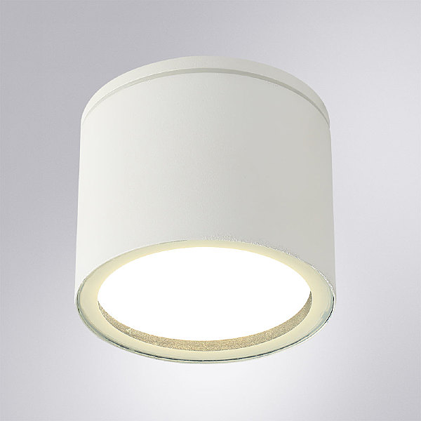 Уличный потолочный светильник Arte Lamp Piautos A1913PF-1WH