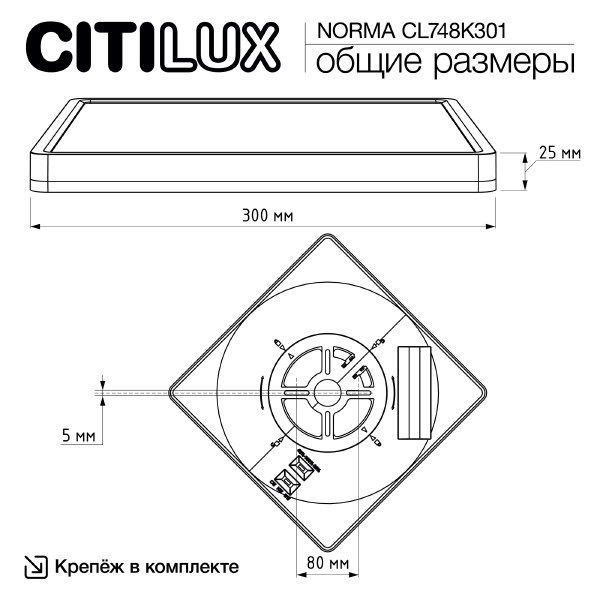 Светильник потолочный Citilux Norma CL748K301