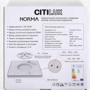 Светильник потолочный Citilux Norma CL748K301