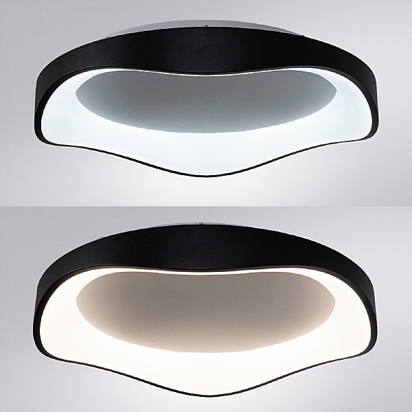 Светильник потолочный Arte Lamp Ankaa A3085PL-56BK