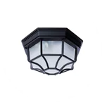 Потолочные