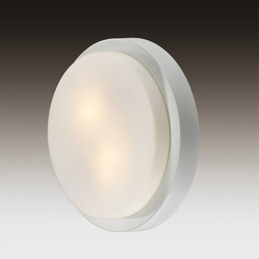 Настенно потолочный светильник Odeon Light Holger 2745/2C